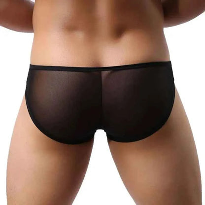 BRAVE PERSON Mesh Men's Briefs - Sexy Transparent Underwear in 4 Colours, High Quality, Free Shipping B1142
