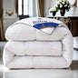 Hilton Hotel down Feather Comforter Thick Warm Home Use Spring Autumn Bedding Universal Dormitory Single Double Core Fiber