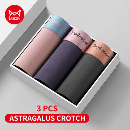 Men's Antibacterial Boxer Briefs - Ultimate Comfort and Freshness