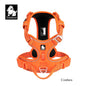 Truelove Pet Harness