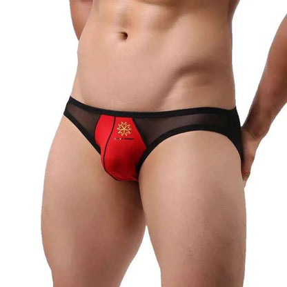 BRAVE PERSON Mesh Men's Briefs - Sexy Transparent Underwear in 4 Colours, High Quality, Free Shipping B1142