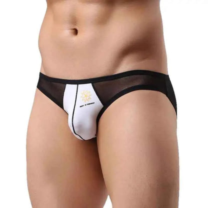 BRAVE PERSON Mesh Men's Briefs - Sexy Transparent Underwear in 4 Colours, High Quality, Free Shipping B1142