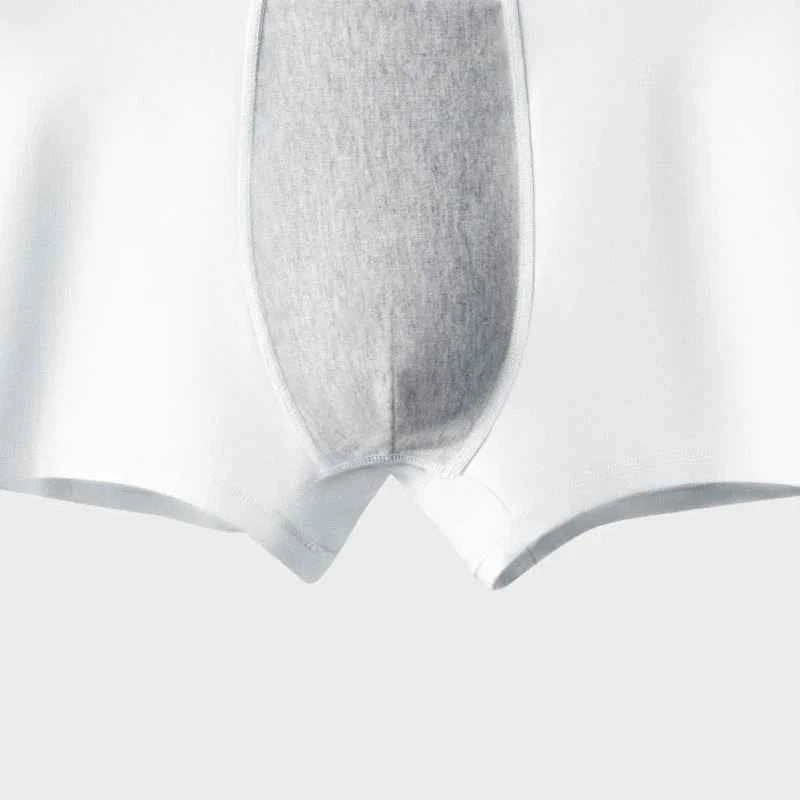 MiiOW Autumn Winter Cotton Men's Underwear Set 7A Antibacterial Crotch Men Panties Skin-friendly Softness Man Boxer Briefs Trunk