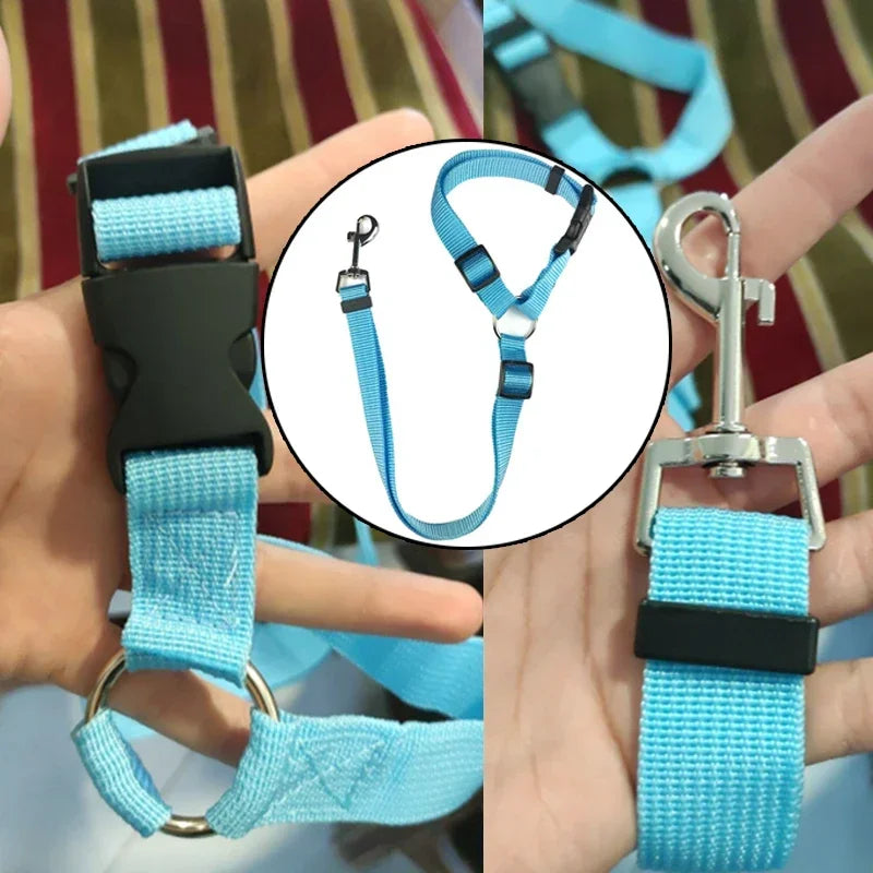 Vehcile Belt & Adjustable Nylon Leash for Dogs (7 colors available) Habicare