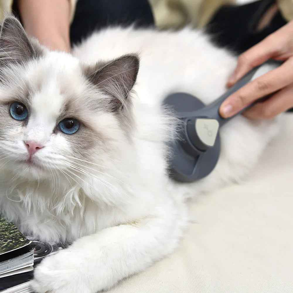 Self-Cleaning Slicker Brush