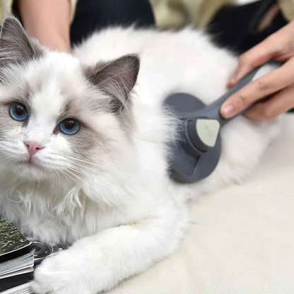 Self-Cleaning Slicker Brush