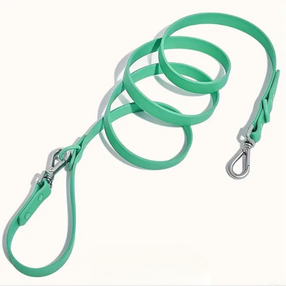 Customisable Dog Lead | Green Walkieez