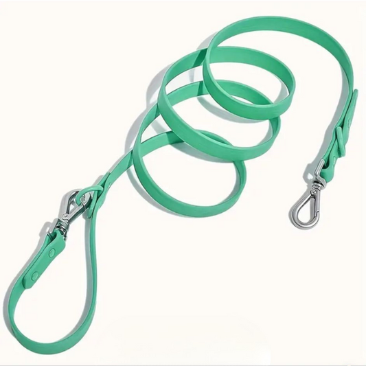 Customisable Dog Lead | Green Walkieez