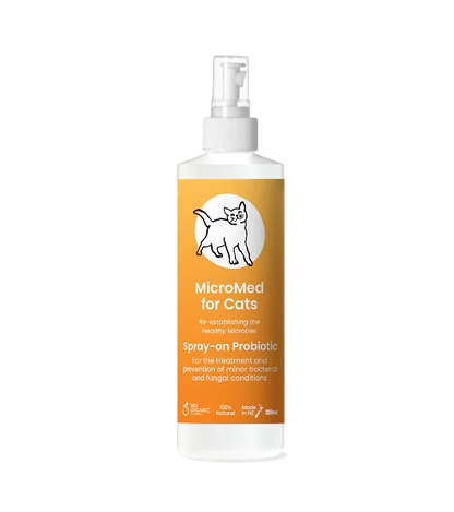 MicroMed for Cats Acute Care