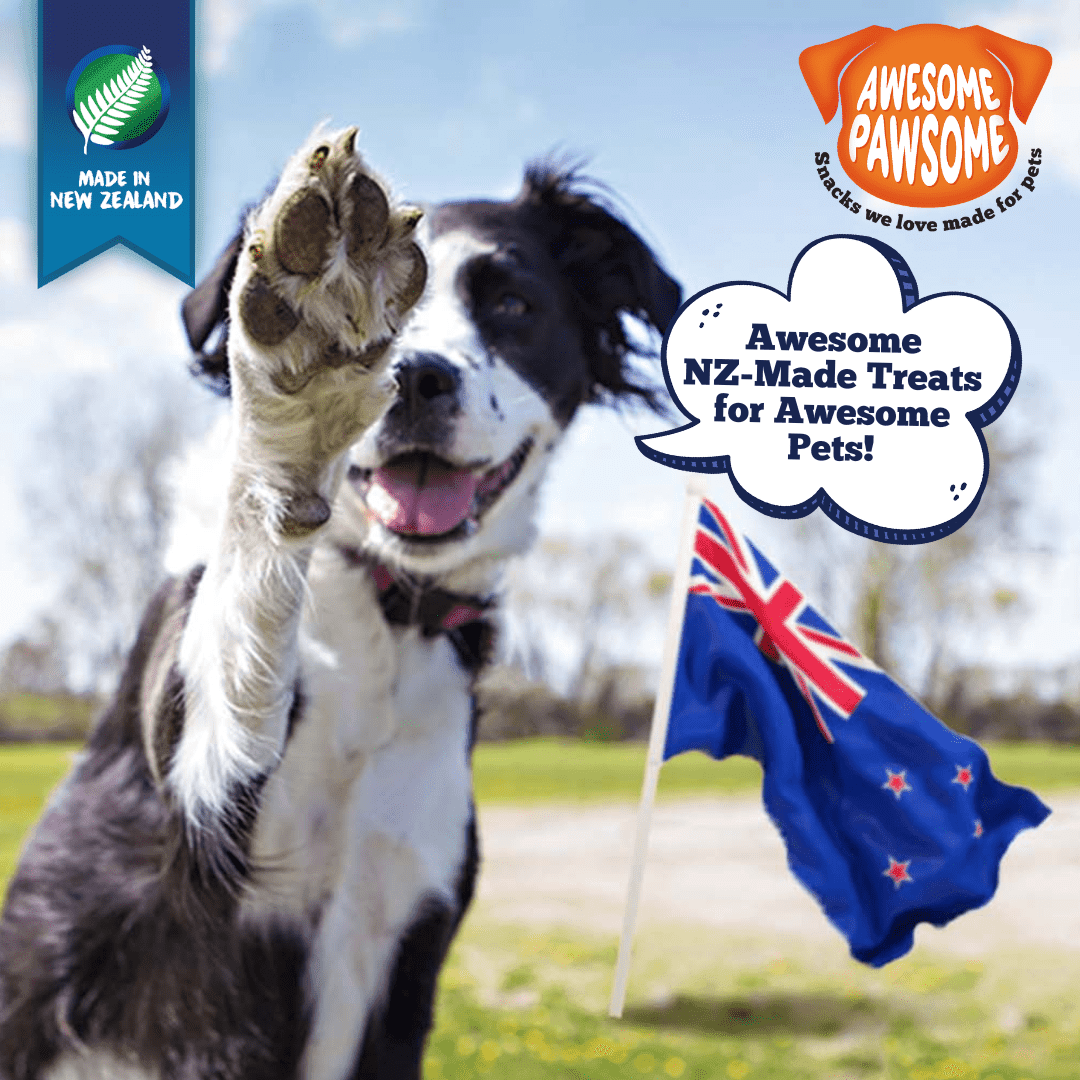 Awesome Pawsome Grain-Free Dog Treats