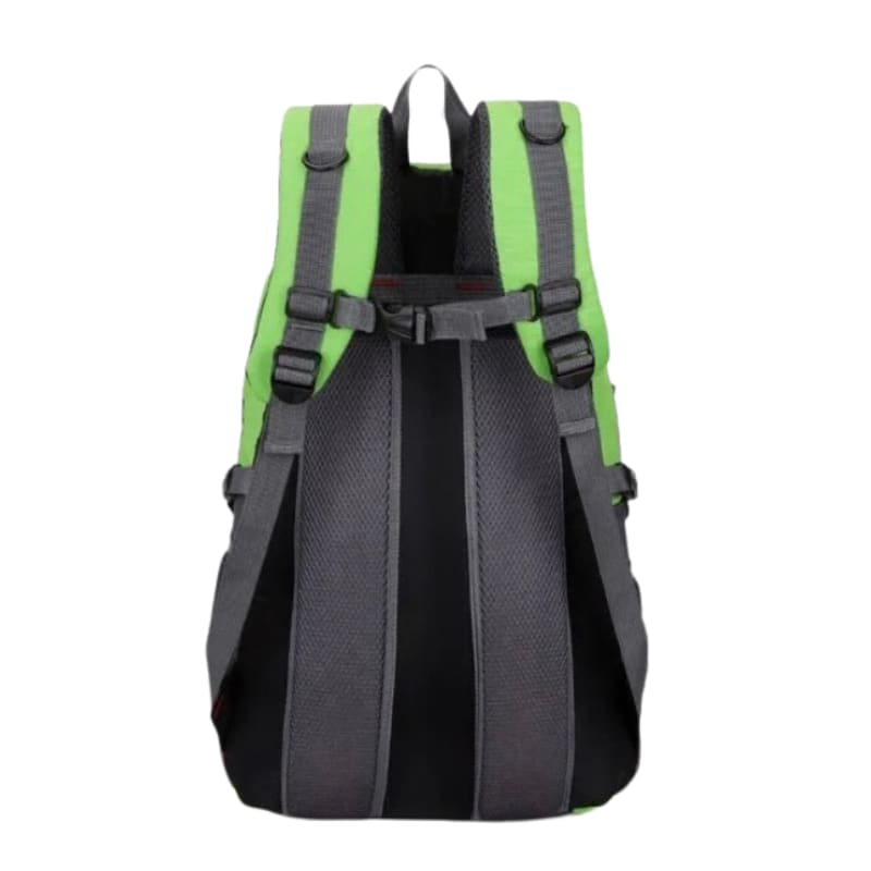 Backpack (Green & Black) 9eight5