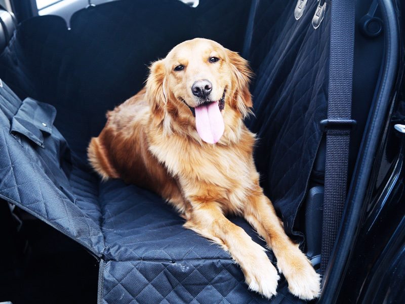 Multifunction Waterproof Pet Back Car Seat Cover Hammock NonSlip Protector Mat dealonline.co.nz