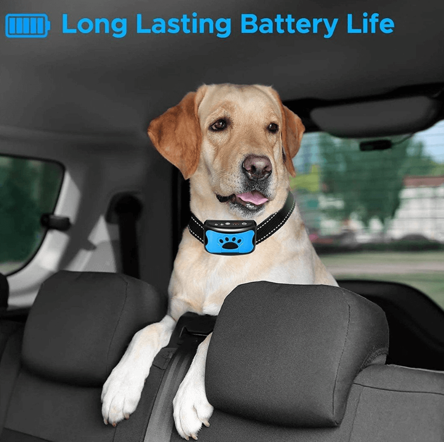Dog Anti Barking Collar Beeping Chargeable Dog Training Device (Blue) - ShopHub