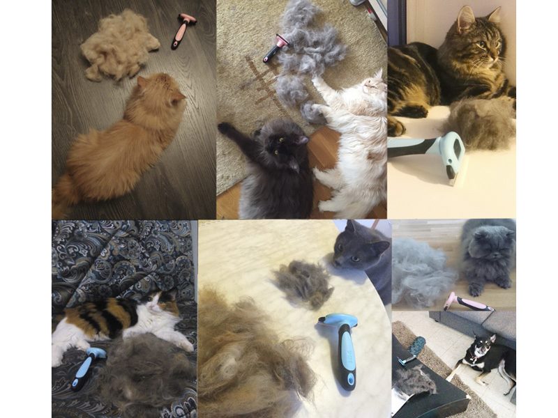 Pet Grooming Brush Size M, Blue dealonline.co.nz