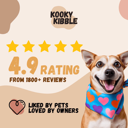 Smart Hooman Trial Bundle - Dog Food (200g)