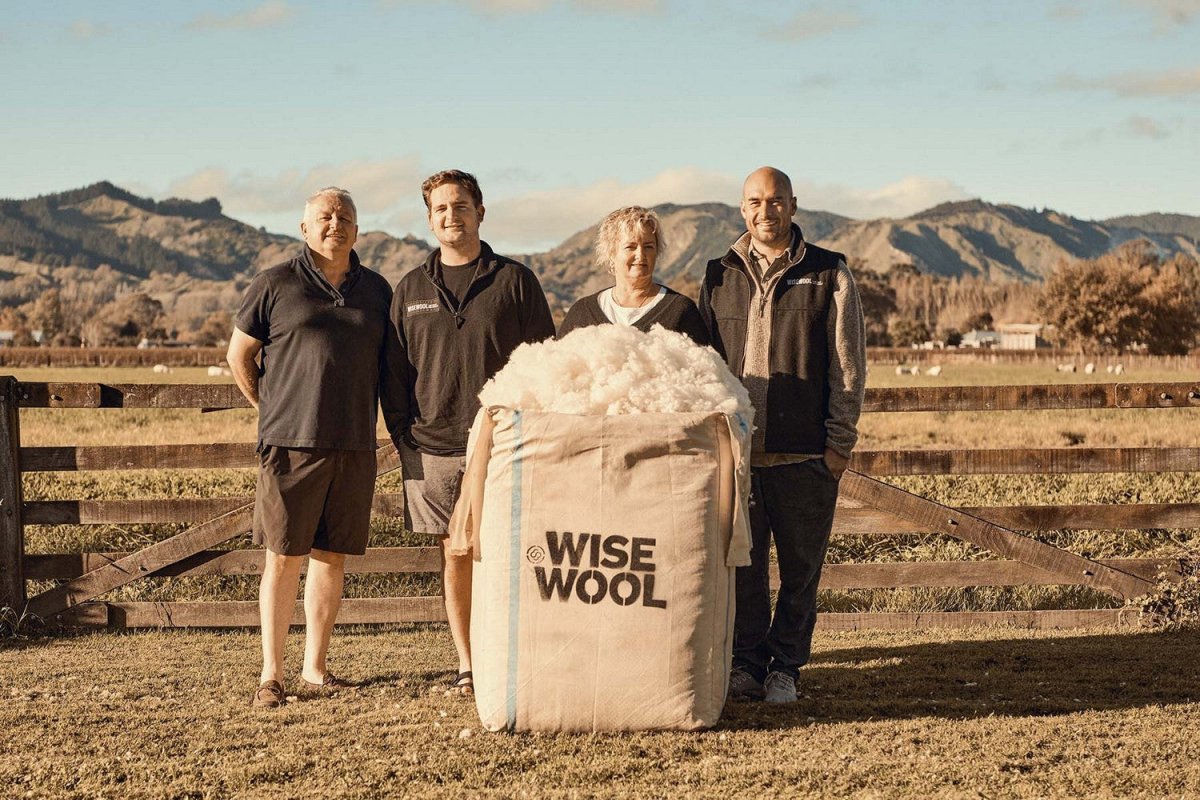 Wisewool™ Cloud Pillow Do Not Disturb Sleep Company