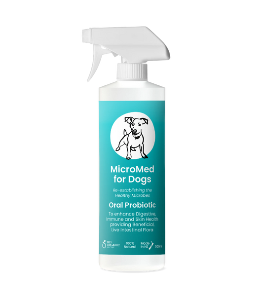 MicroMed for Dogs Care Ongoing Health and Wellness Solution in a 500ml bottle, designed for daily pet care and support