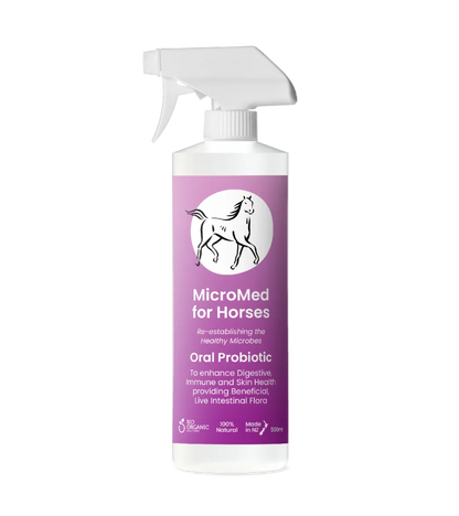 MicroMed for Horses Care bottle, 500ml, with label showing ongoing care solution for equine health and wellness.