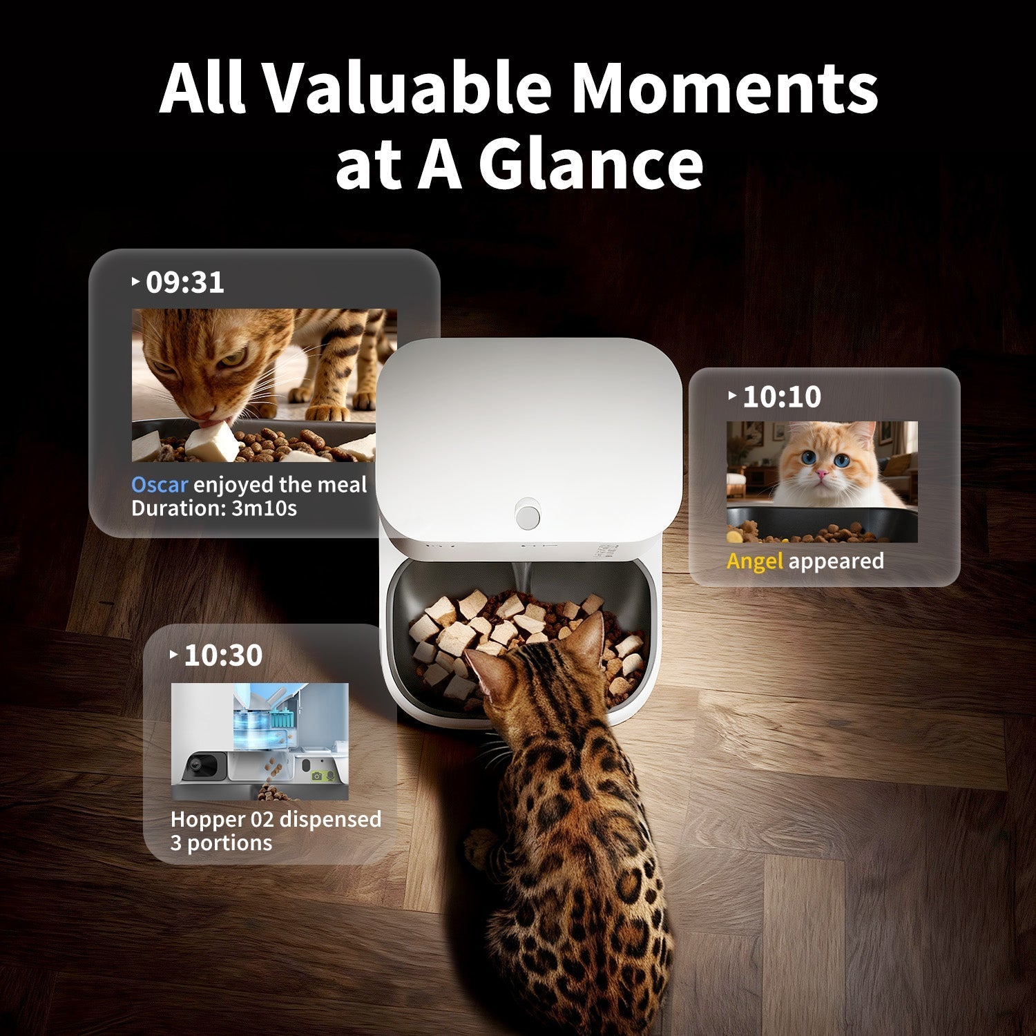 Petkit YumShare Dual-hopper automatic pet feeder with built-in camera, showing food compartments and camera lens for monitoring pets.