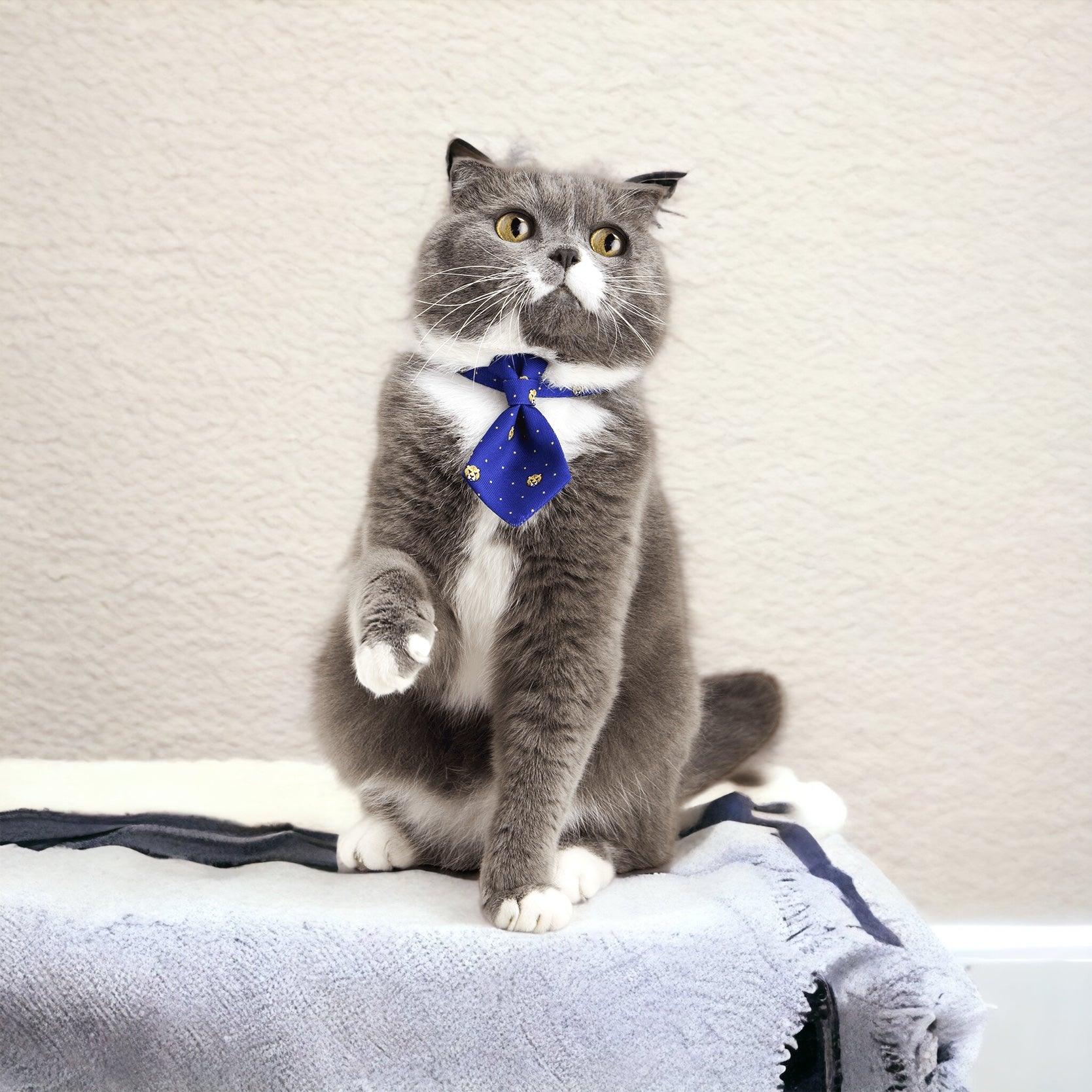 PIDAN Pet Necktie Collar Pidan New Zealand