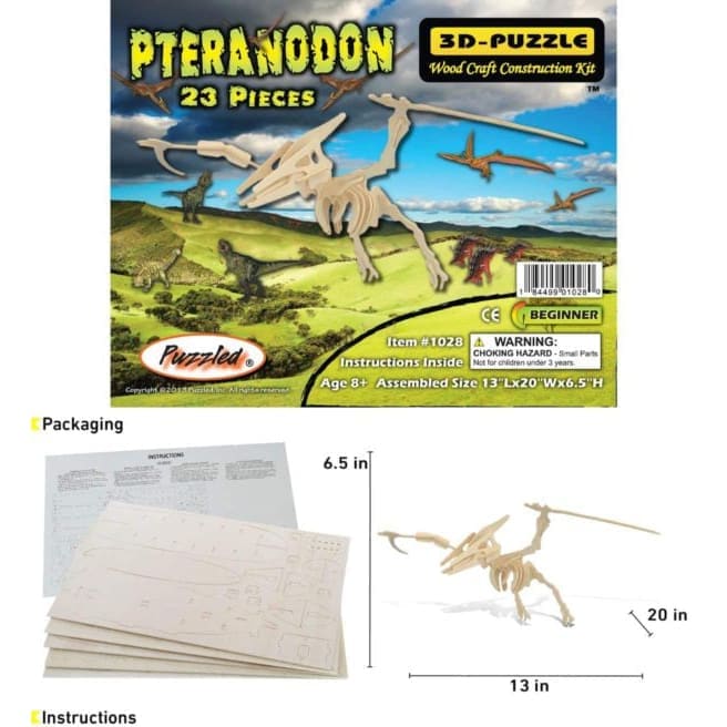 Pteranodon 9eight5