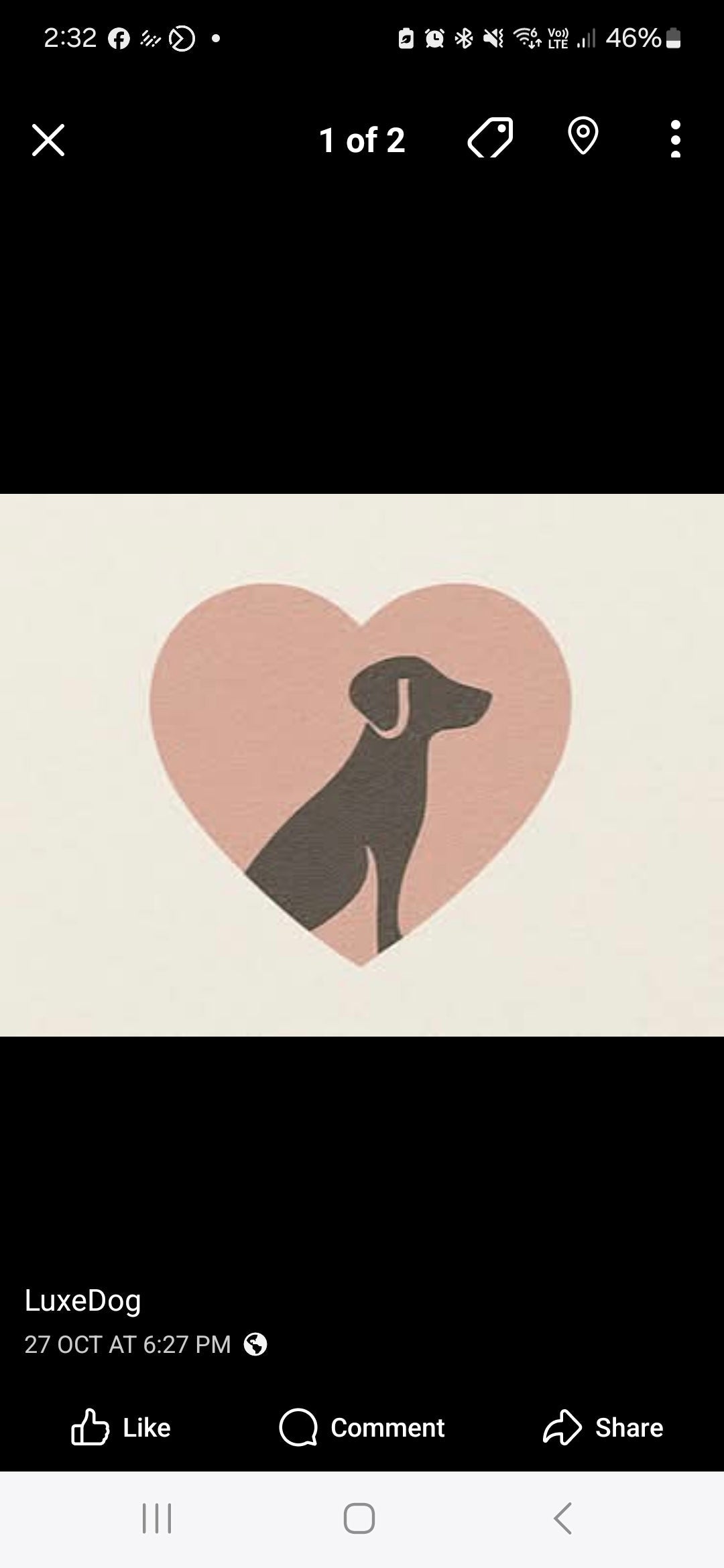 LuxeDog - L'Amour Edition - 25cm Animal Addiction Limited