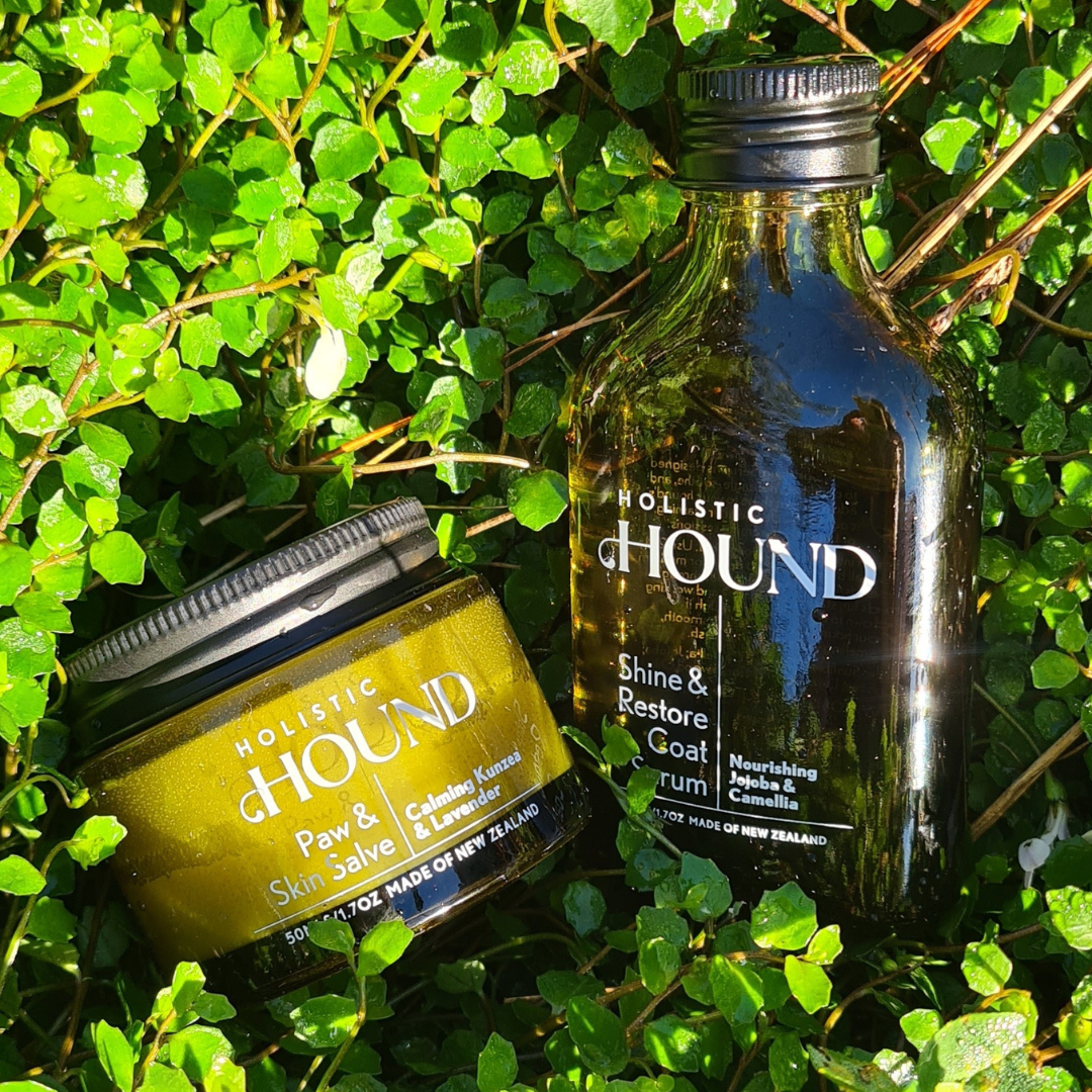 Holistic Hound - Paw & Skin Salve 50g Animal Addiction Limited