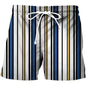 Stylish 3Sixty5 retro striped men's shorts with vintage-inspired design, perfect for casual summer fashion.