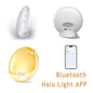 Wake-Up Light Alarm Clock – Sunrise/Sunset Simulation Habicare