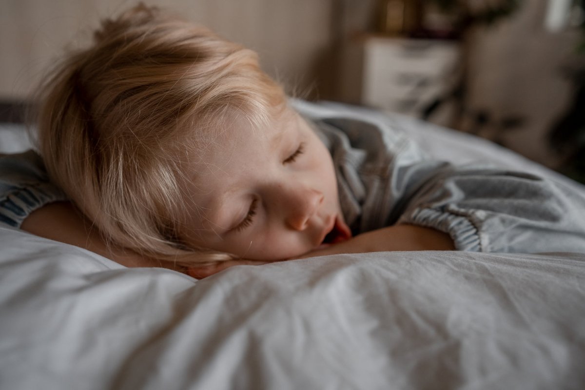 Wisewool™ Pillow Duvet Do Not Disturb Sleep Company