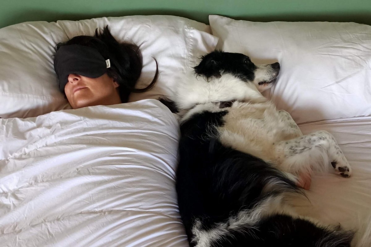 Wisewool™ Duvets Do Not Disturb Sleep Company